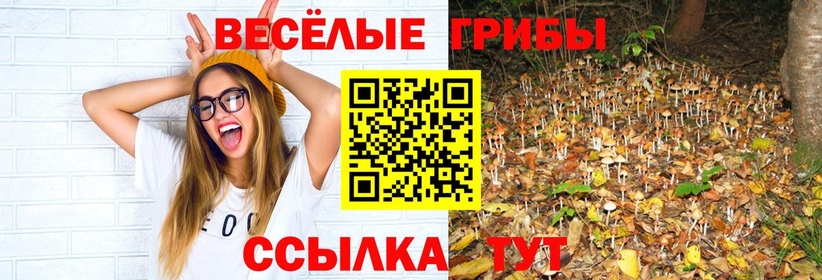 Галлюциногенные грибы мухоморы Когалым